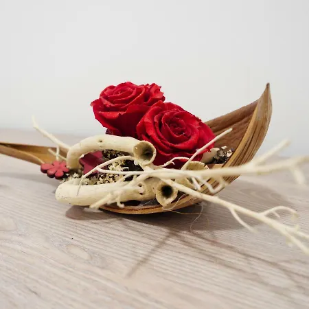 Franckina Hisa Izola